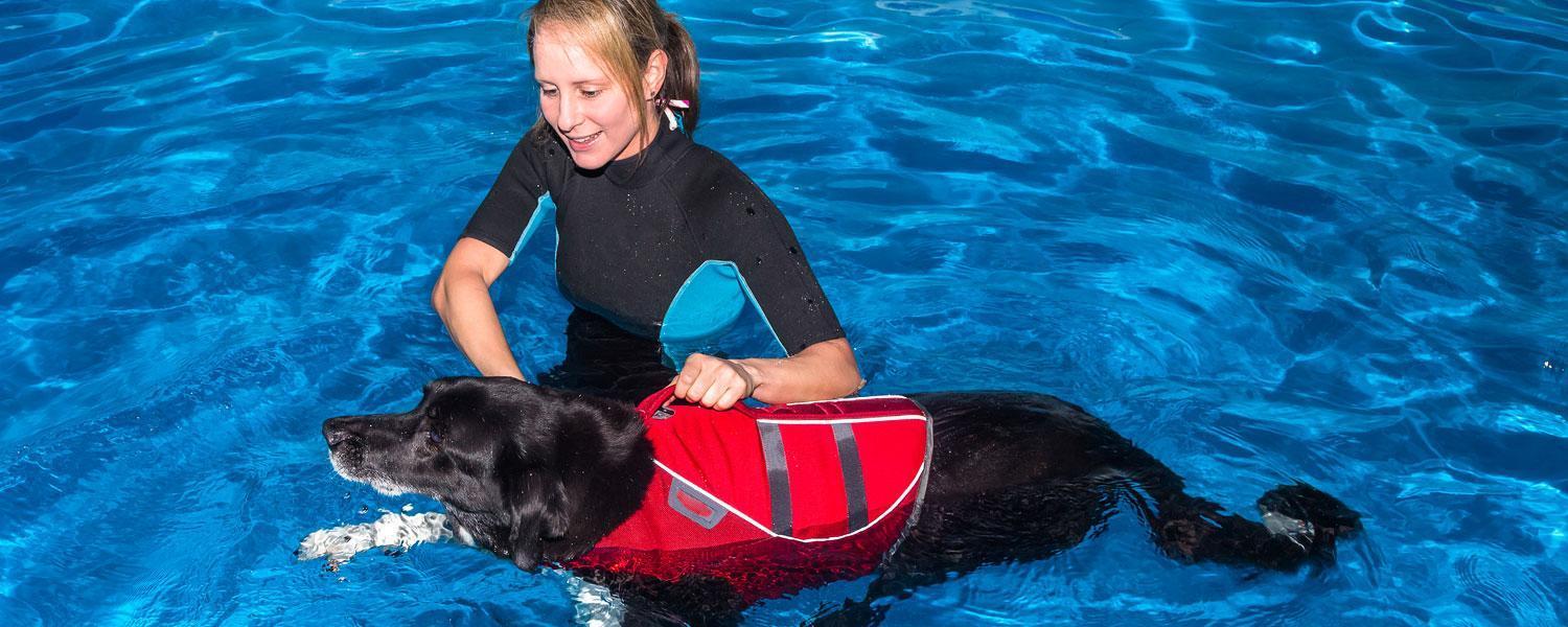 Hundeschwimmen Hundephysiotherapie