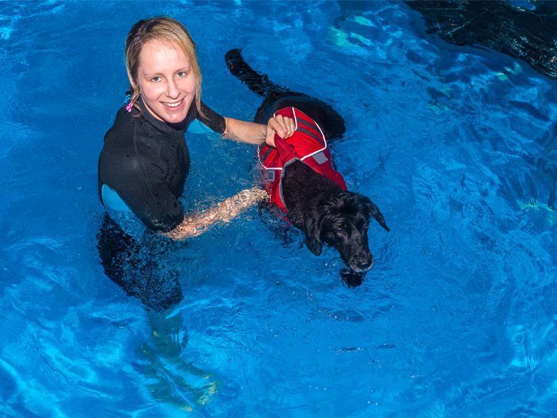 Hundeschwimmen im Indoor-Pool